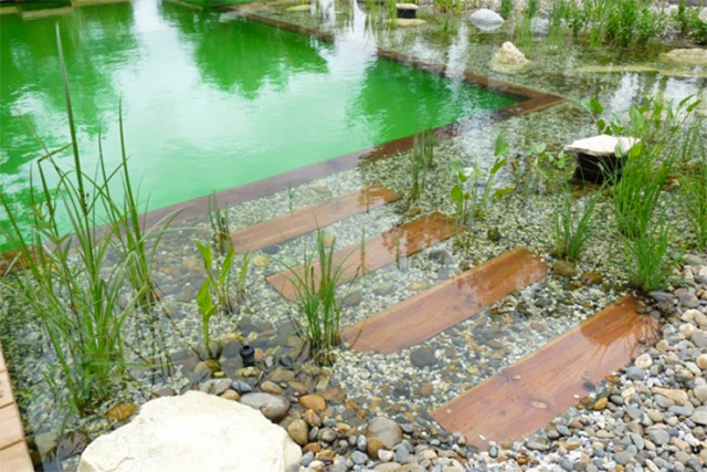 biopiscinas-te-atreves-1