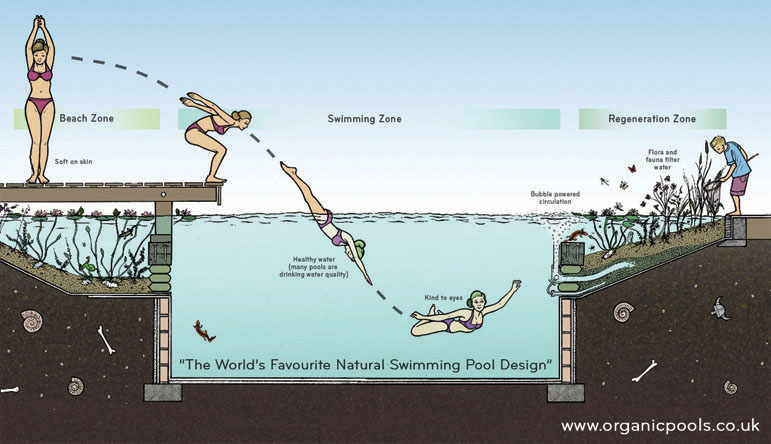 organic pool cross section