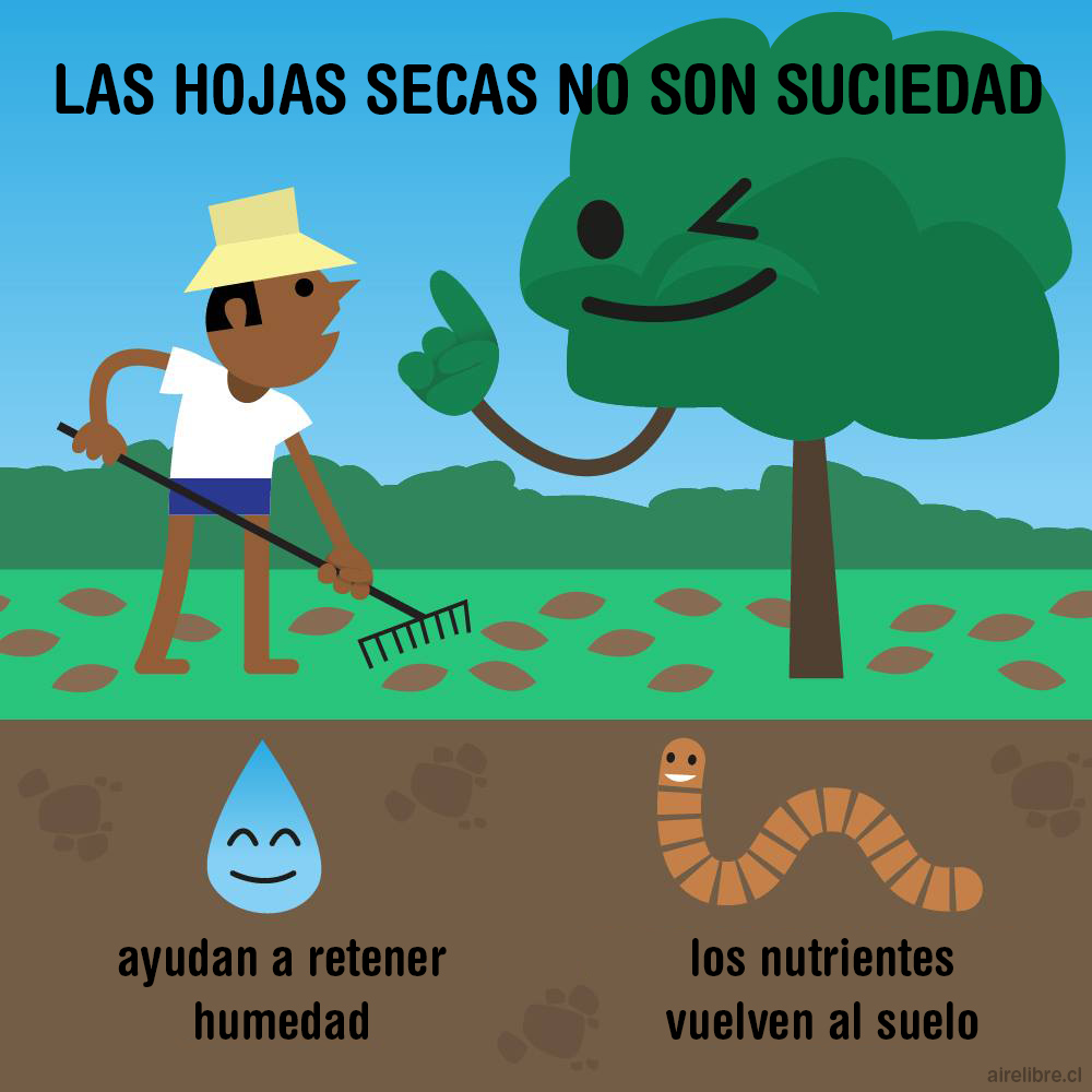 hojas secas, suciedad, humedad y nutrientes