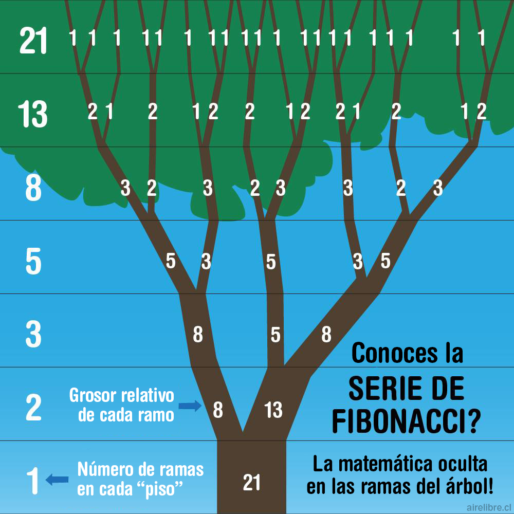 serie de Fibonacci en los arboles