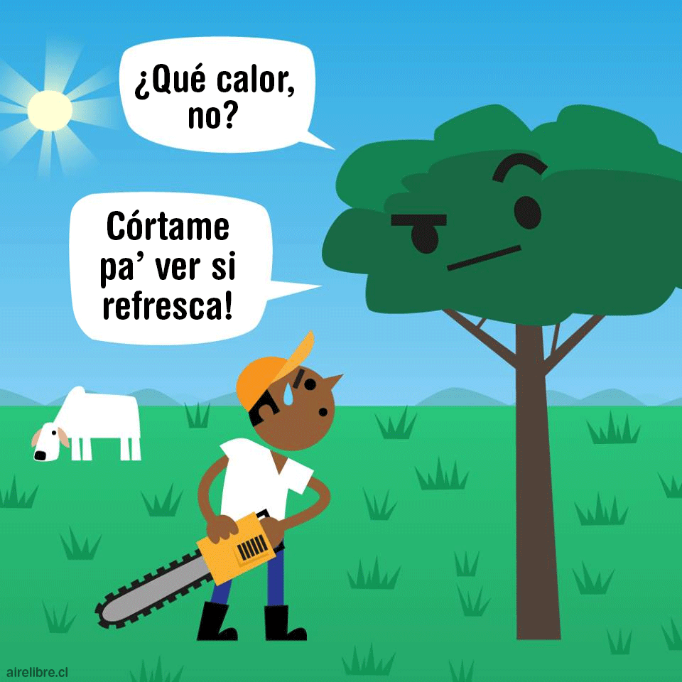 deforestacion causa olas de calor