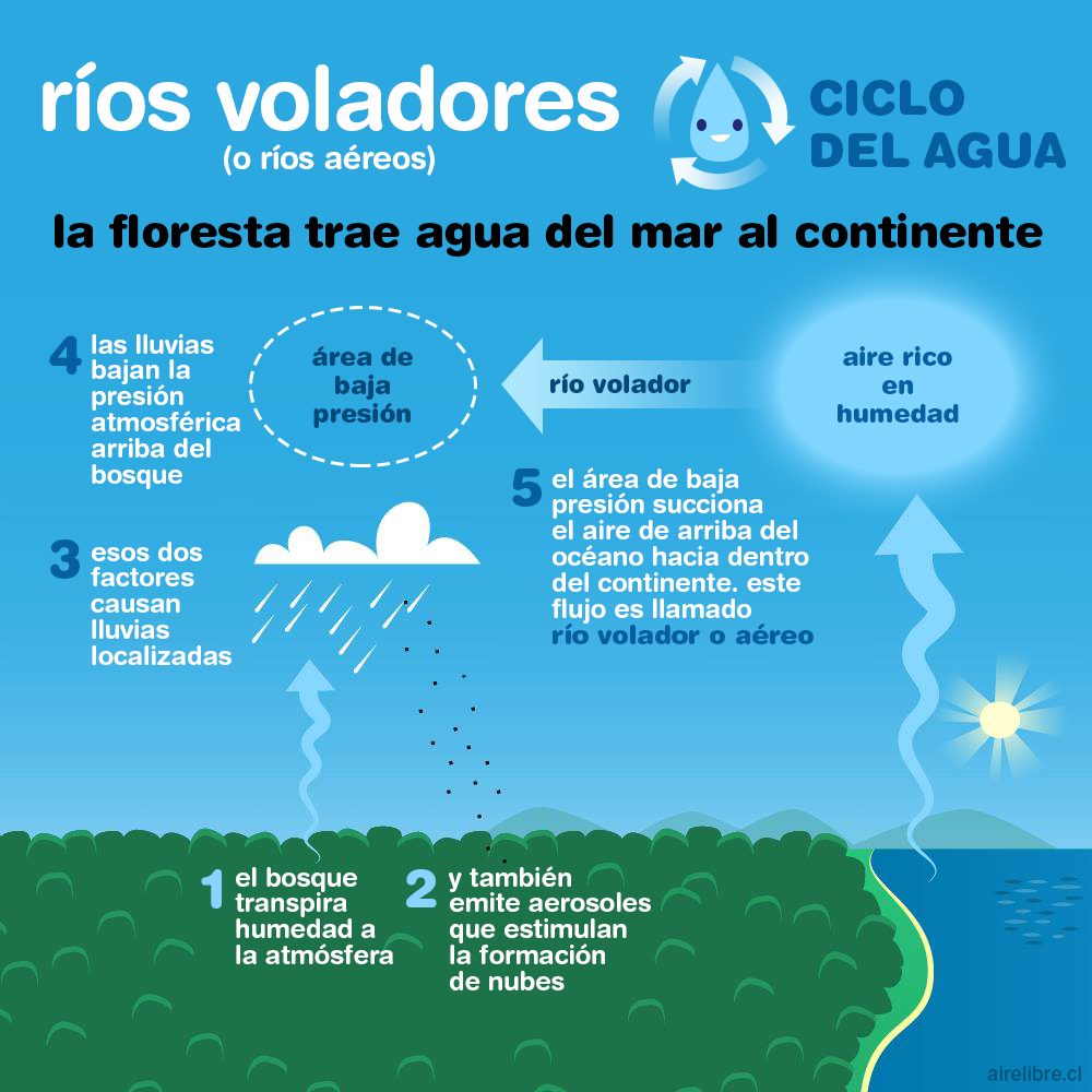 que son rios voladores infografia definicion